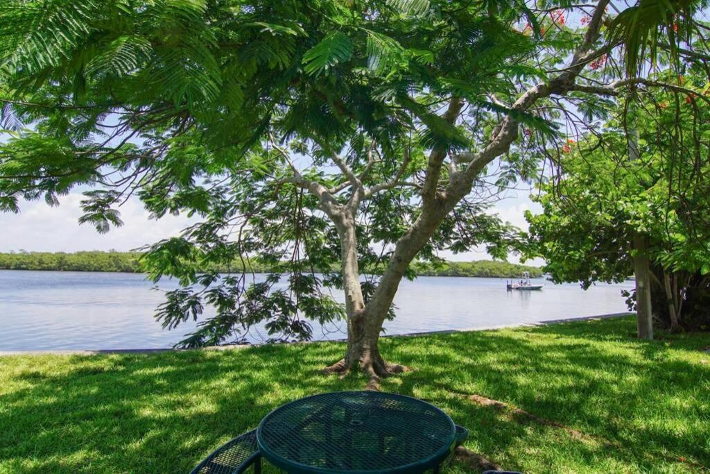 Sea Breeze, Studio 510, Beach Steps Away!+Pool+Wifi 拉斯金 外观 照片